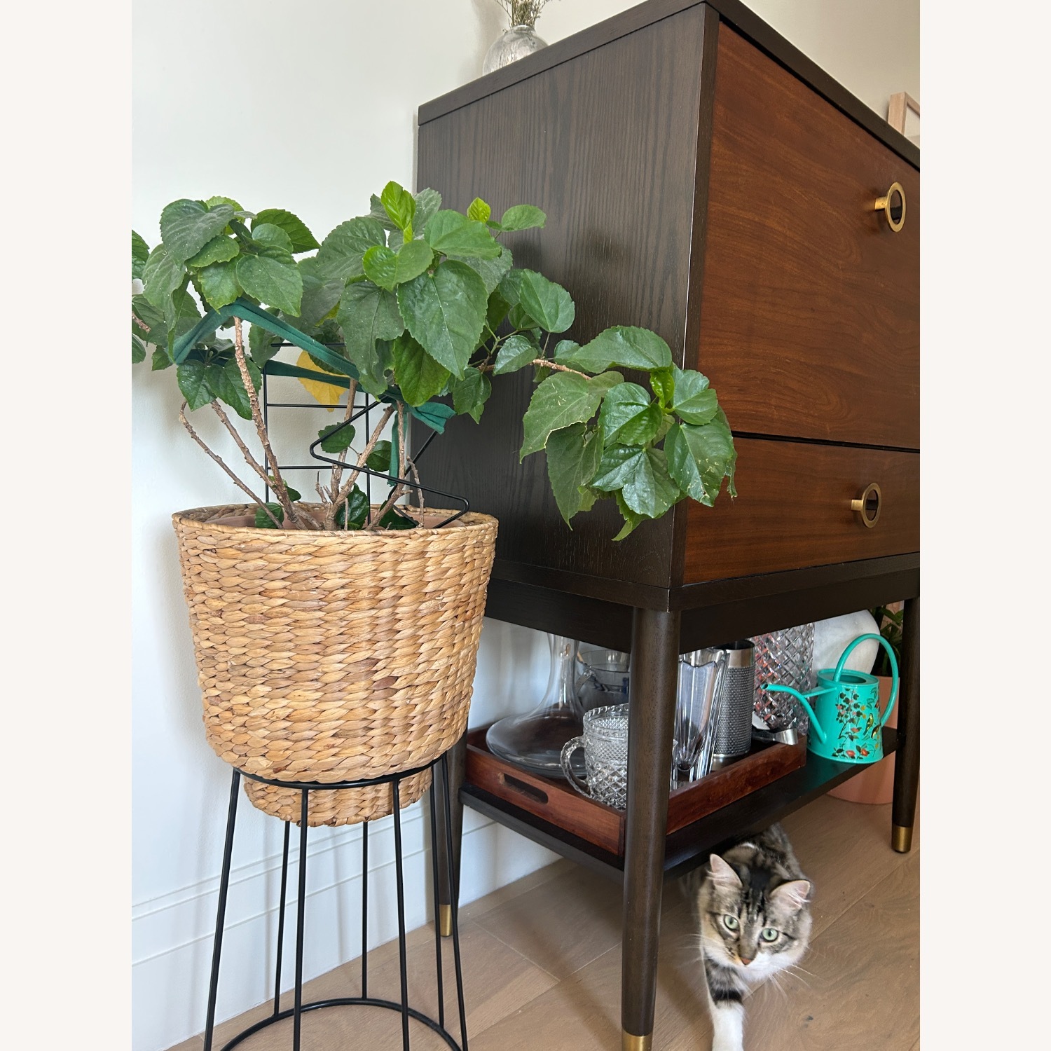West Elm Bar Mid-Century Bar Cabinet - image-6