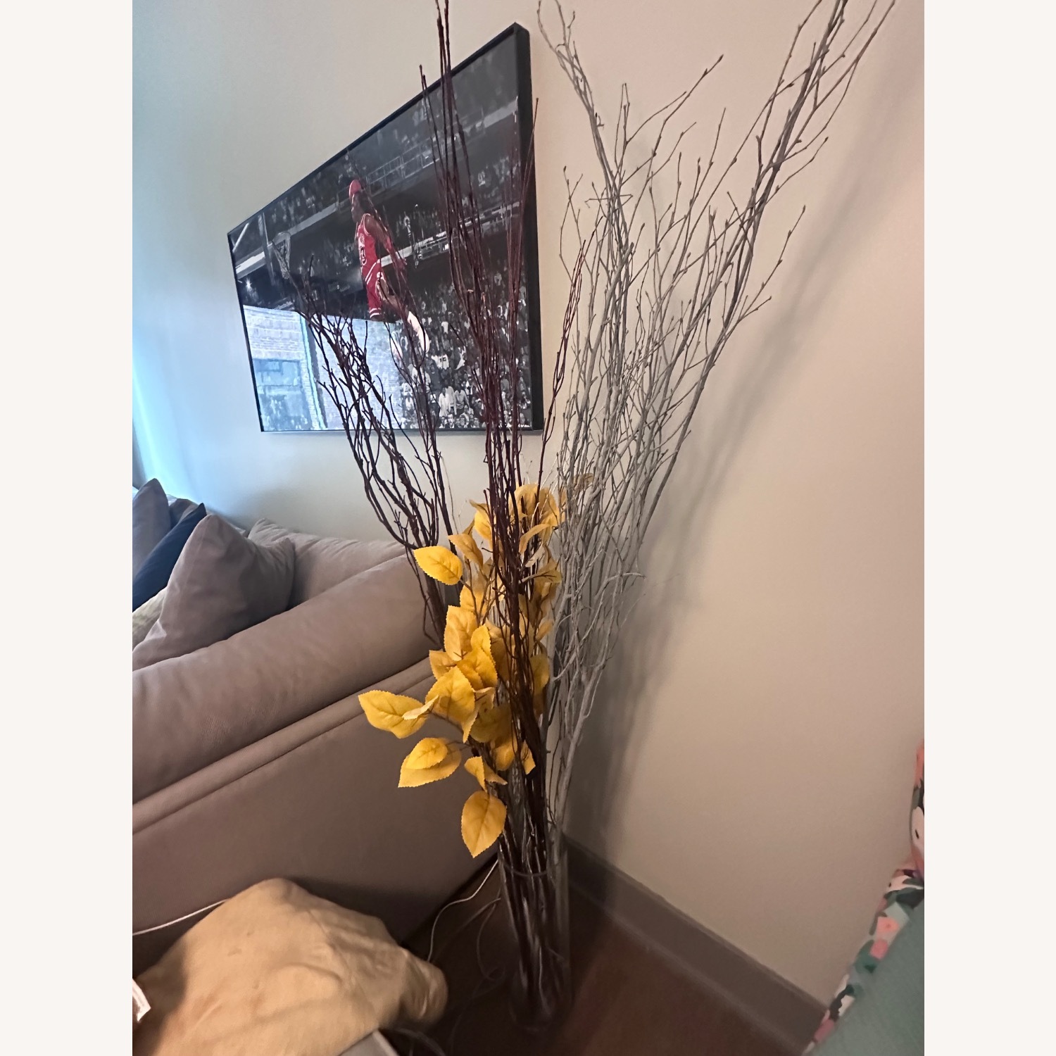 Decoration Plants - image-5