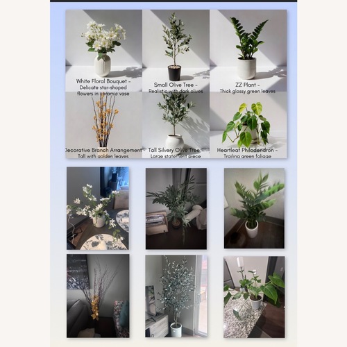 Used Decoration Plants for sale on AptDeco