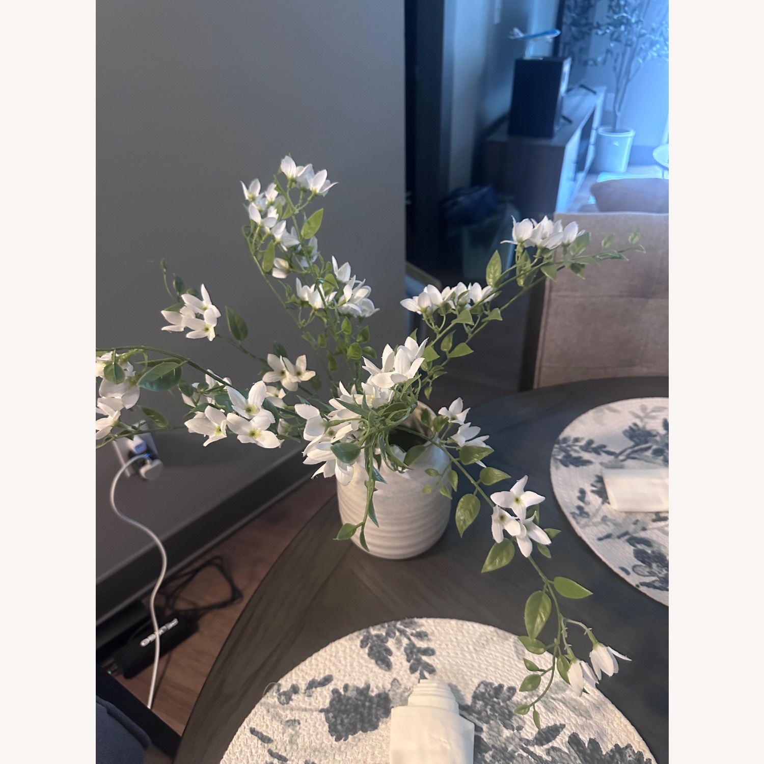 Decoration Plants - image-8