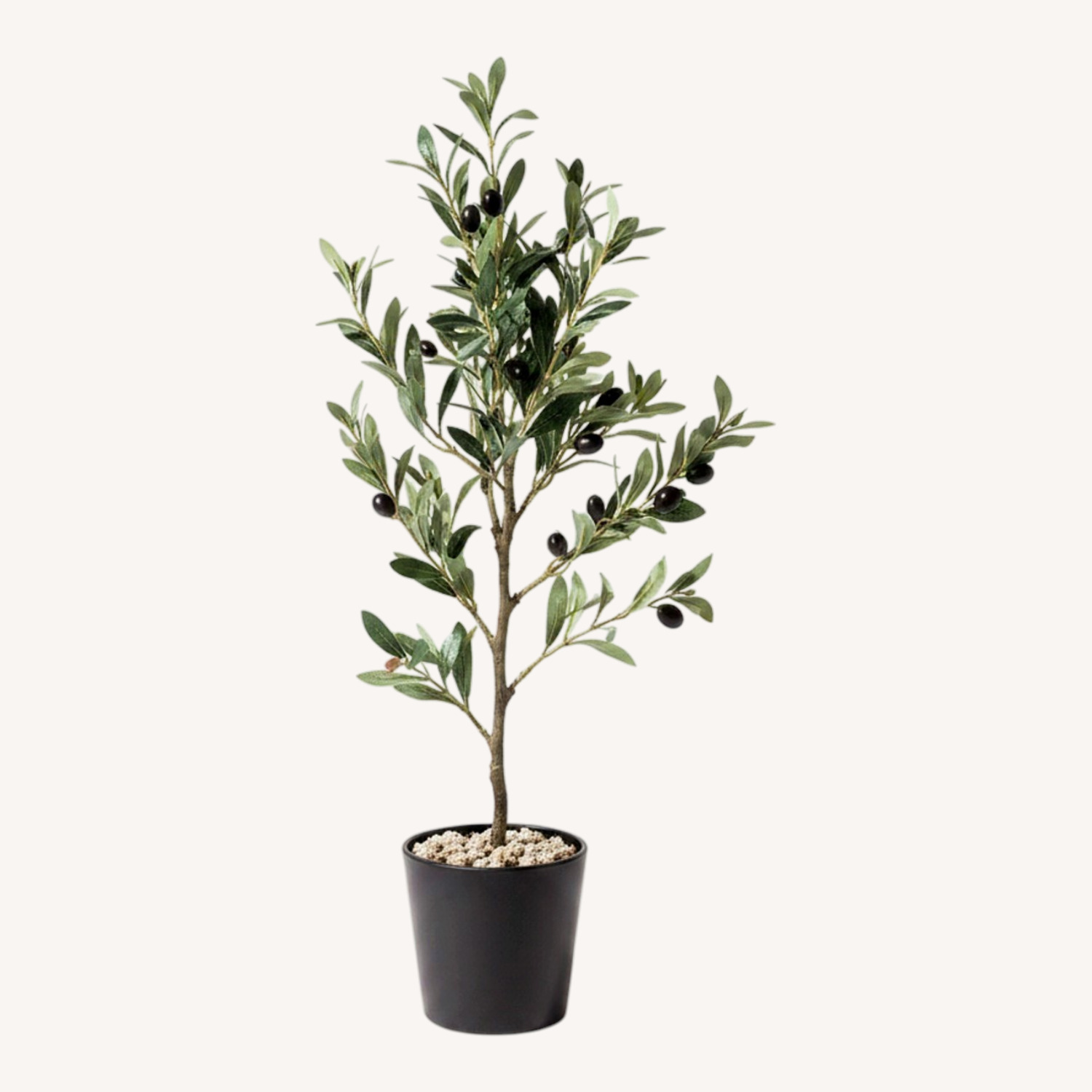Decoration Plants - image-0