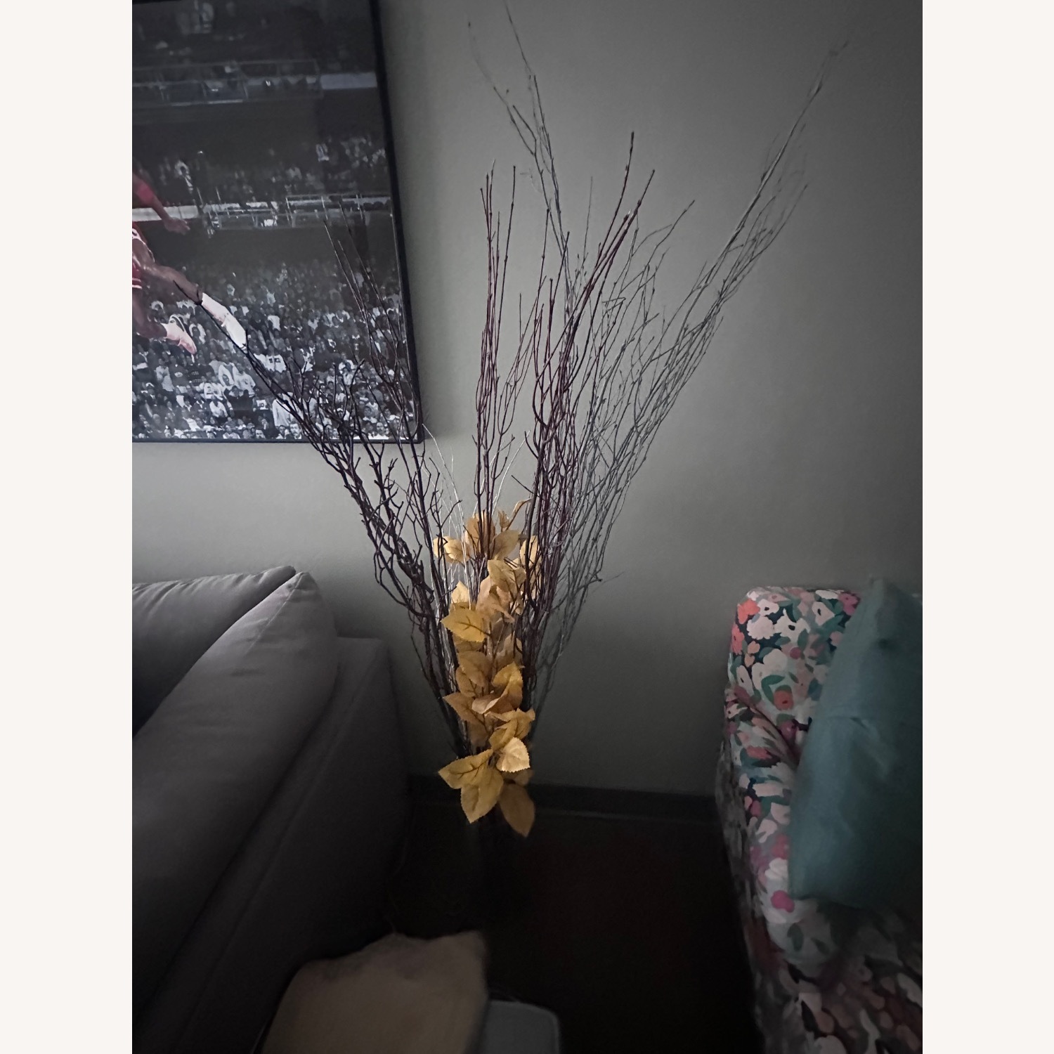 Decoration Plants - image-4