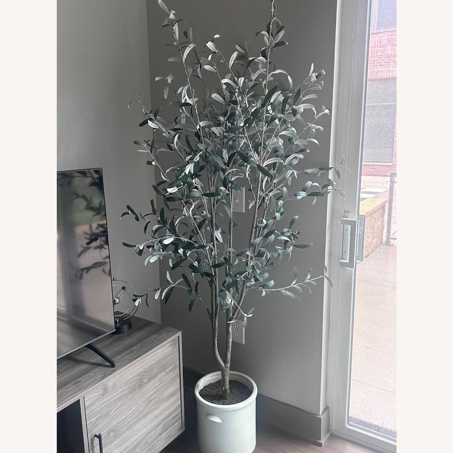 Decoration Plants - image-2