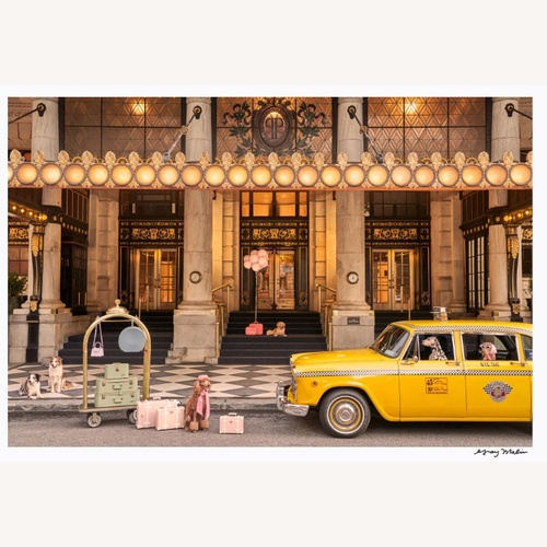 Used  Gray Malin - Welcome to the Plaza for sale on AptDeco