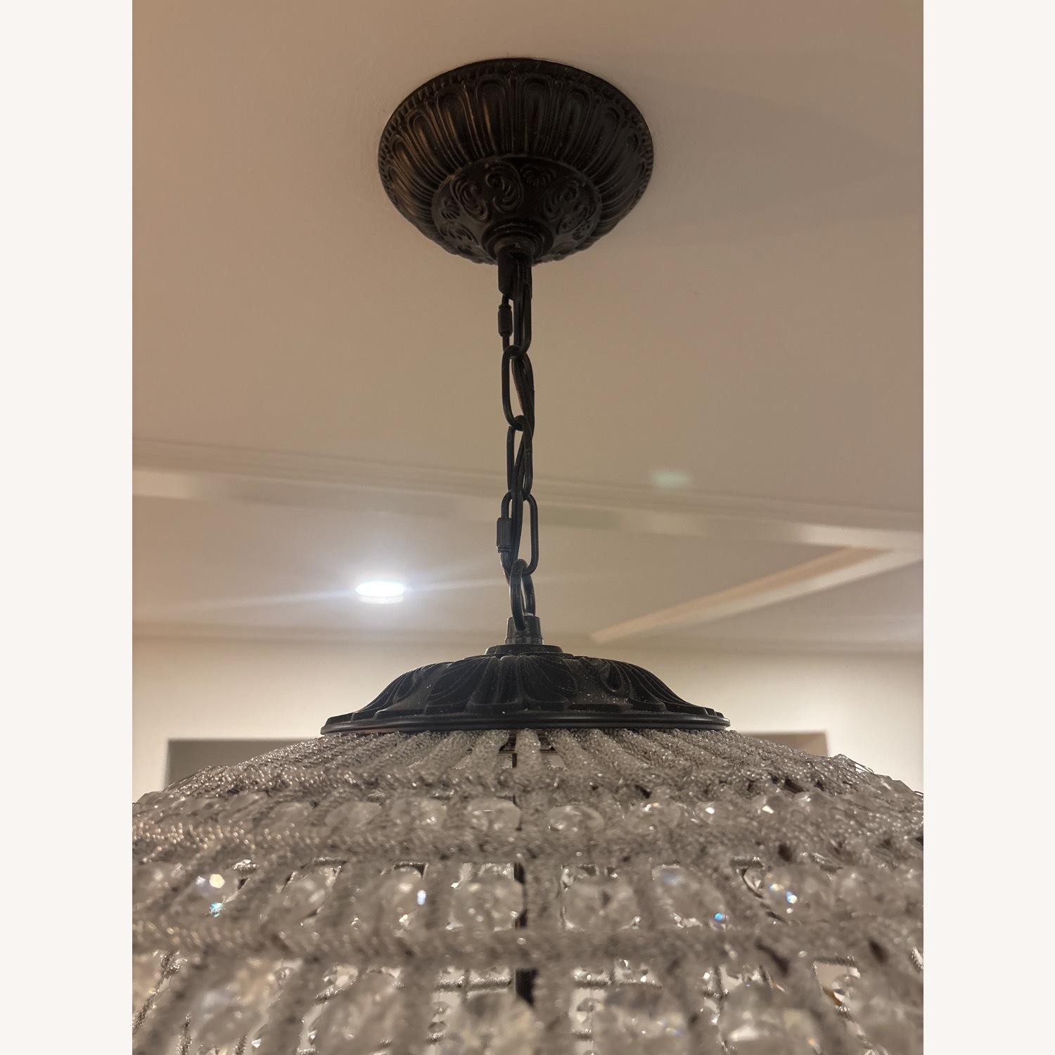 Elegant Lighting Olivia Transparent Ceiling Lamp - image-4