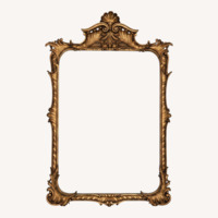Elegant Rococo Revival Gold Wall Mirror