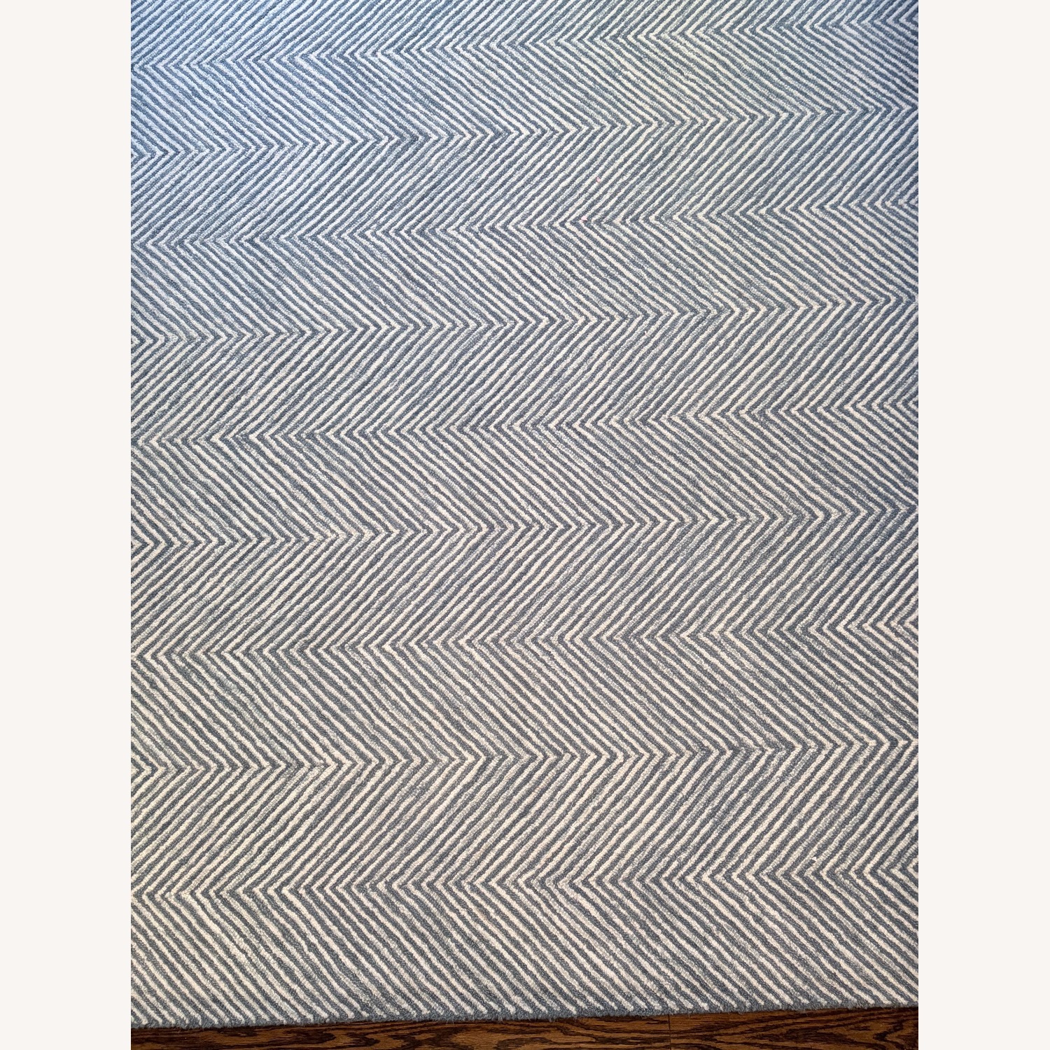 Momeni Wool Rug in Denim - image-1