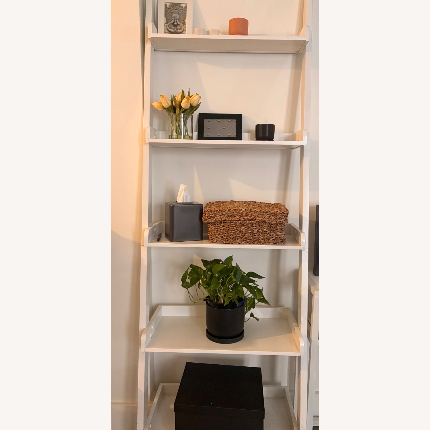 Wayfair Three Posts White Wood Ladder Bookcase - image-2