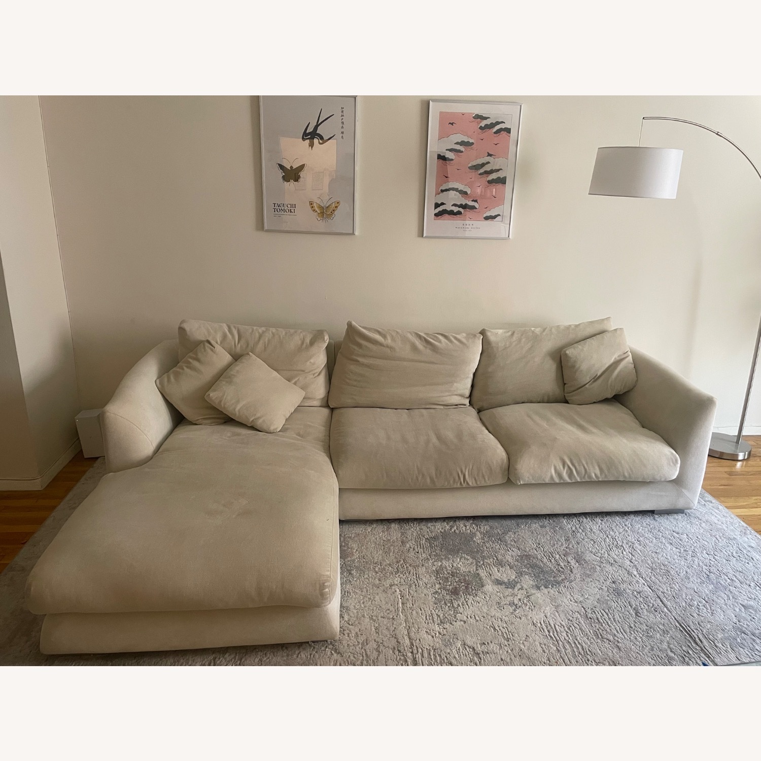 Feathers Sectional Sofa - image-2