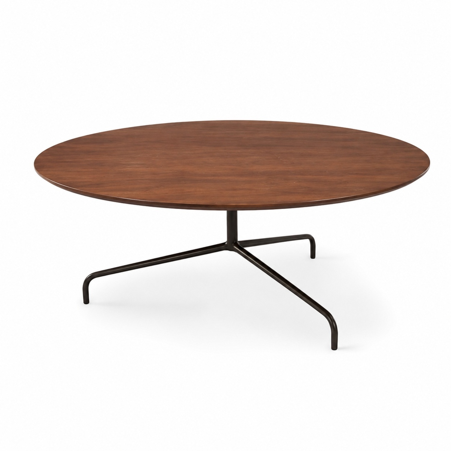 West Olson Elm Coffee Table - image-4