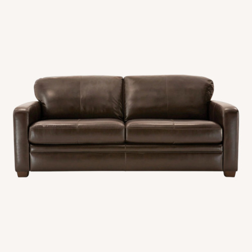 Used Dark Brown Sleeper Sofa for sale on AptDeco