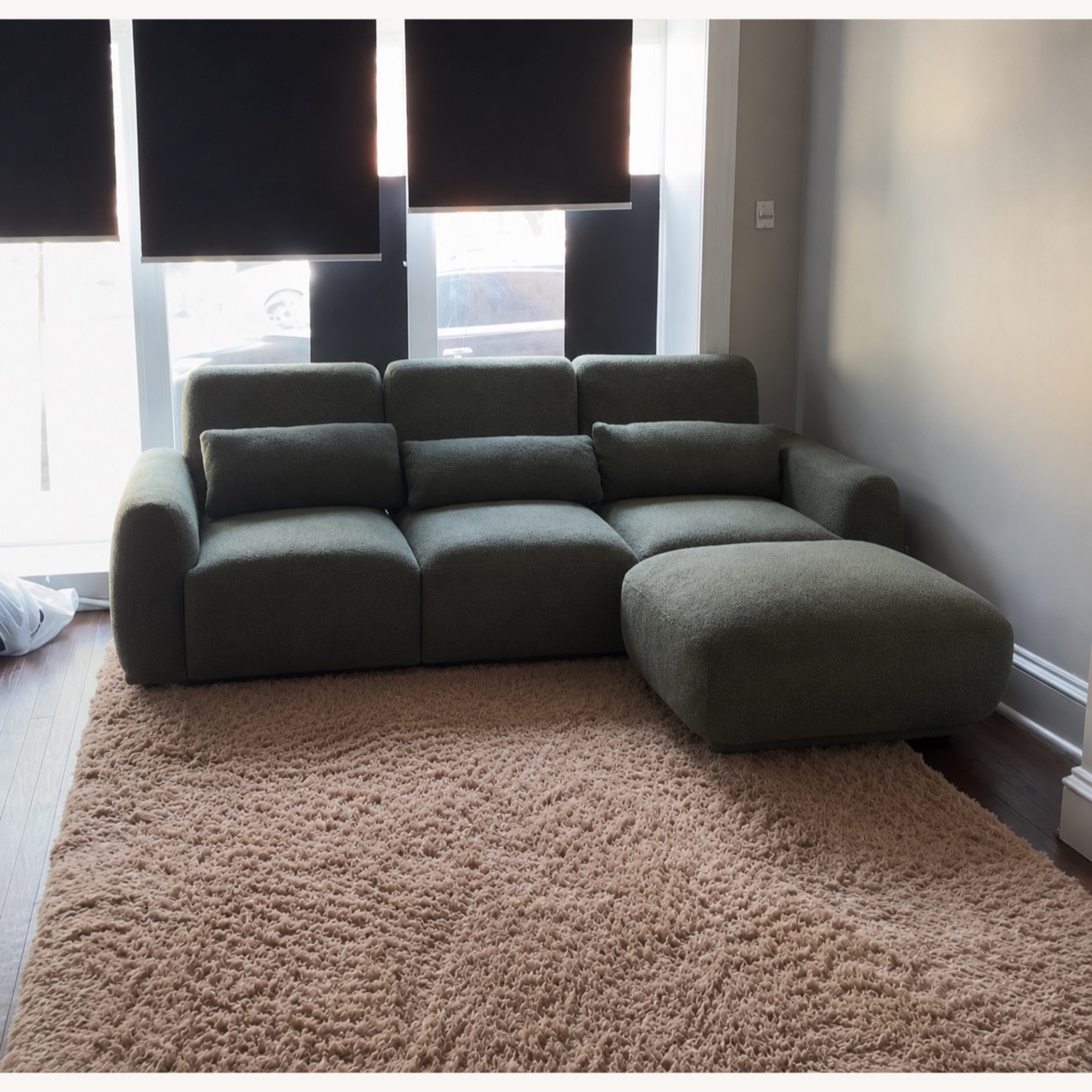 Latitude Run® Green Couch with Chaise - image-1