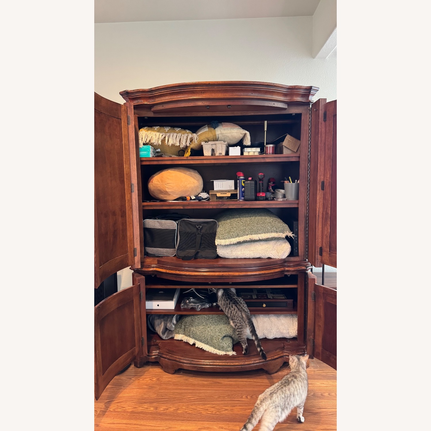 Vintage/Antique Dark Brown Wood Media Storage - image-3