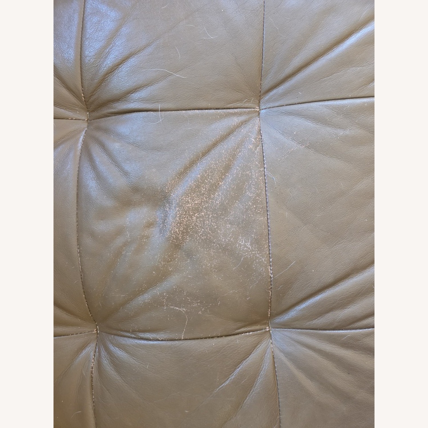 W. Schillig USA Light Brown 3+ Seater Sofa - image-4
