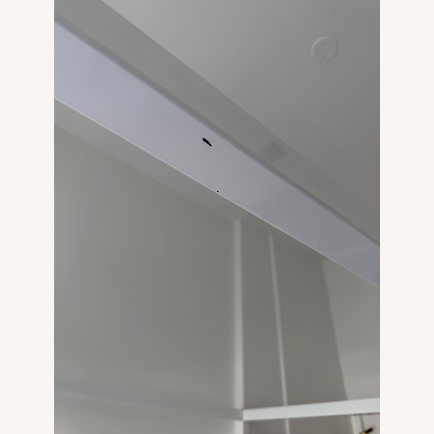 Room & Board Architecture Canopy Bed - image-3