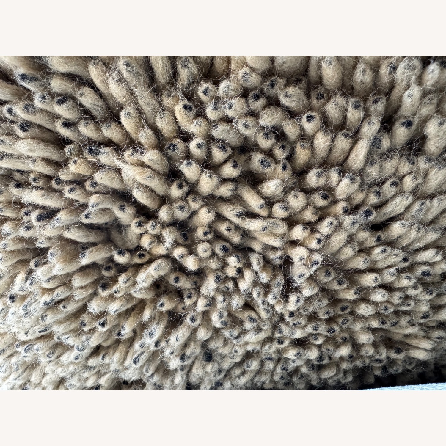 Vintage/Antique Dark Brown Area Rug 12' x 12' - image-5