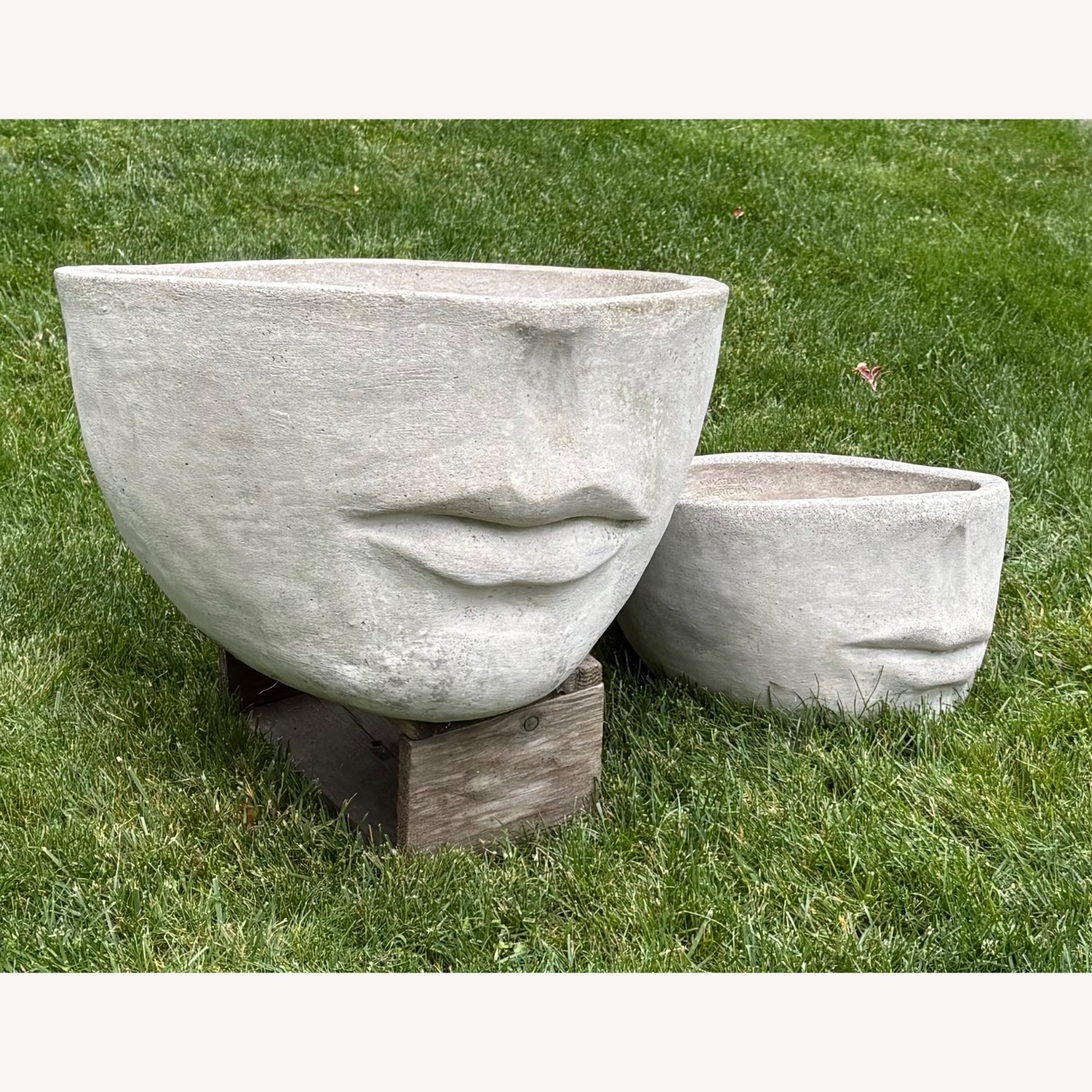 Natural Concrete Planters - image-5