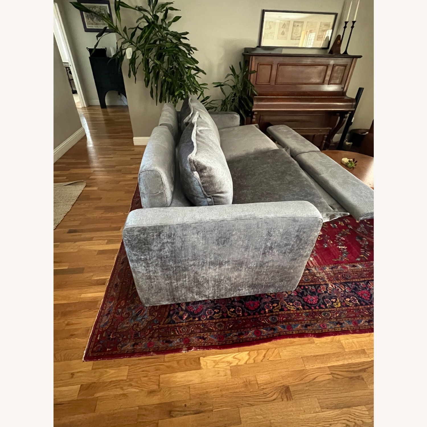 Homebody Dark Gray Velvet 3+ Seater Sofa - image-2