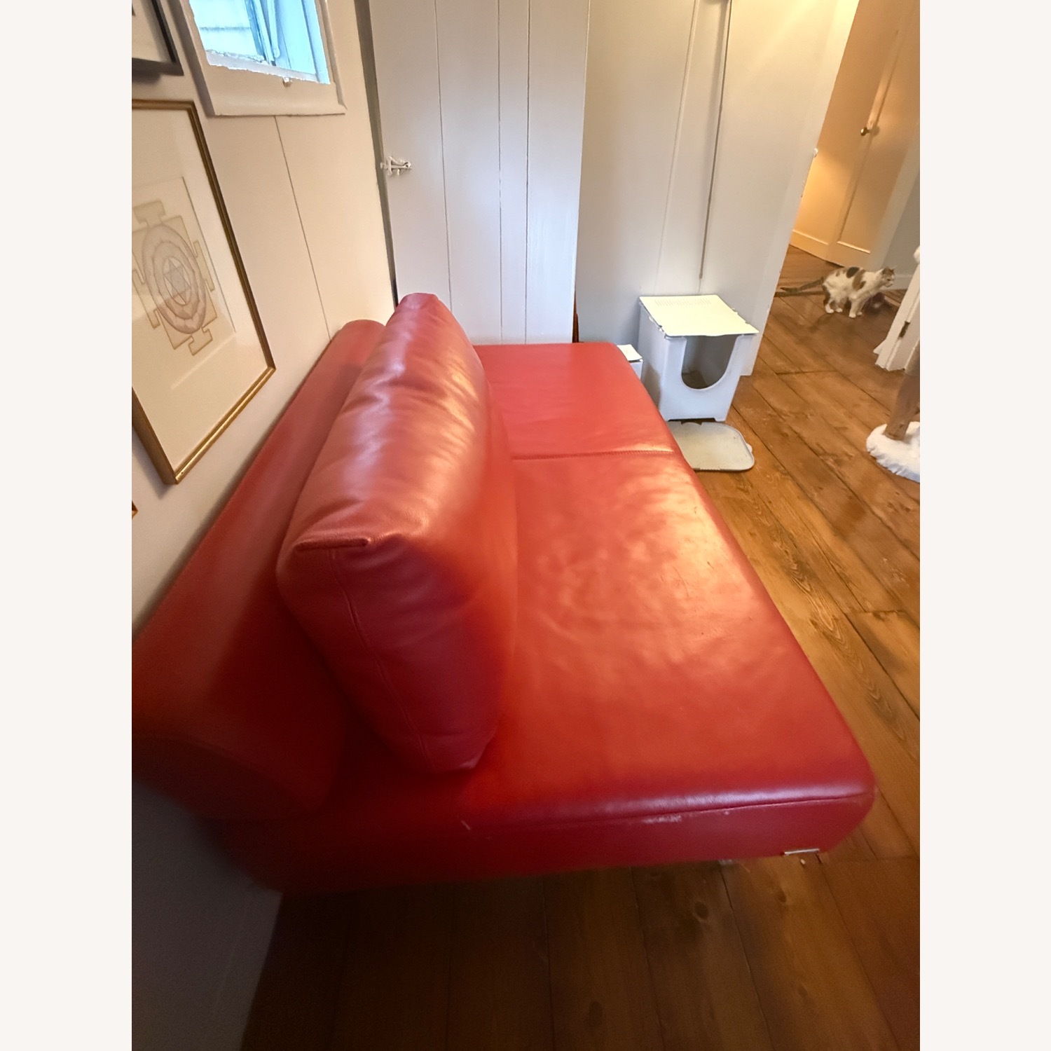 Red Leather 2 Seater Sofa - image-2
