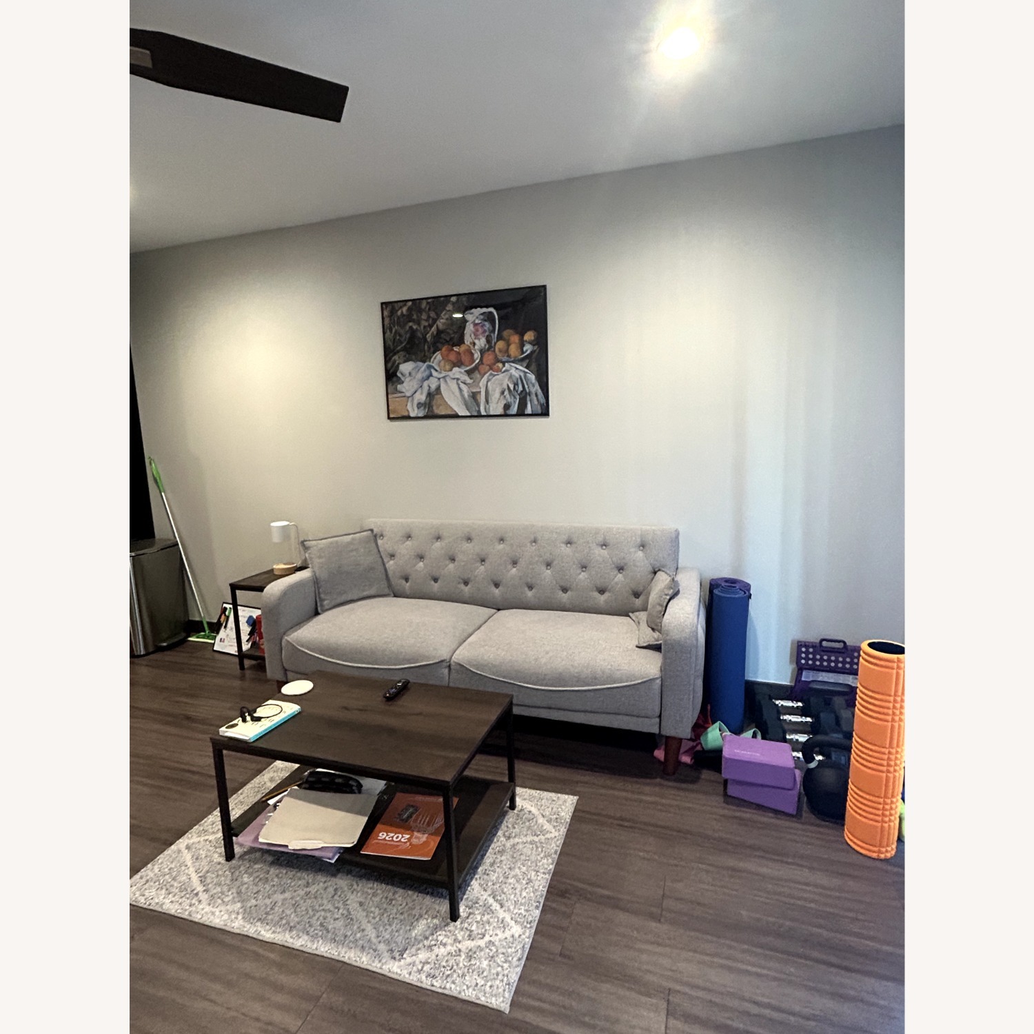 Aoowow Light Gray 2 Seater Sofa - image-3