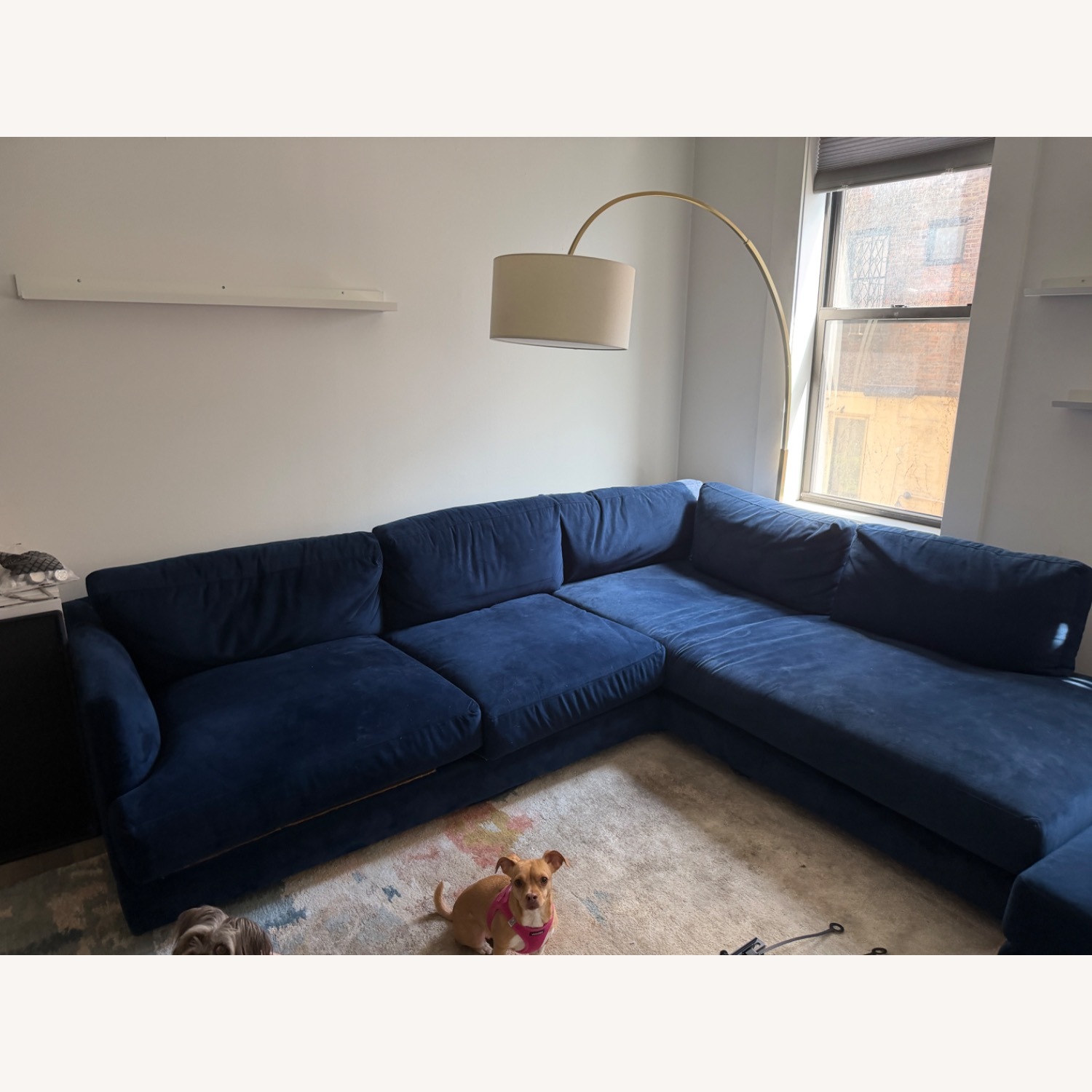 West Elm Haven Blue Velvet 2 Piece Sectional - image-3
