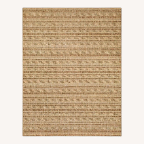 Used Striped Indoor/Outdoor Area Rug for sale on AptDeco