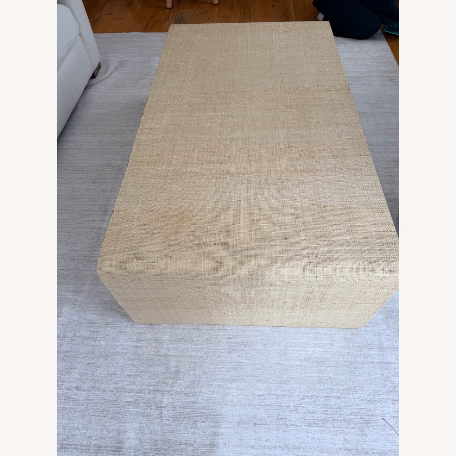 Crate & Barrel Meadow Grass Coffee Table - image-4