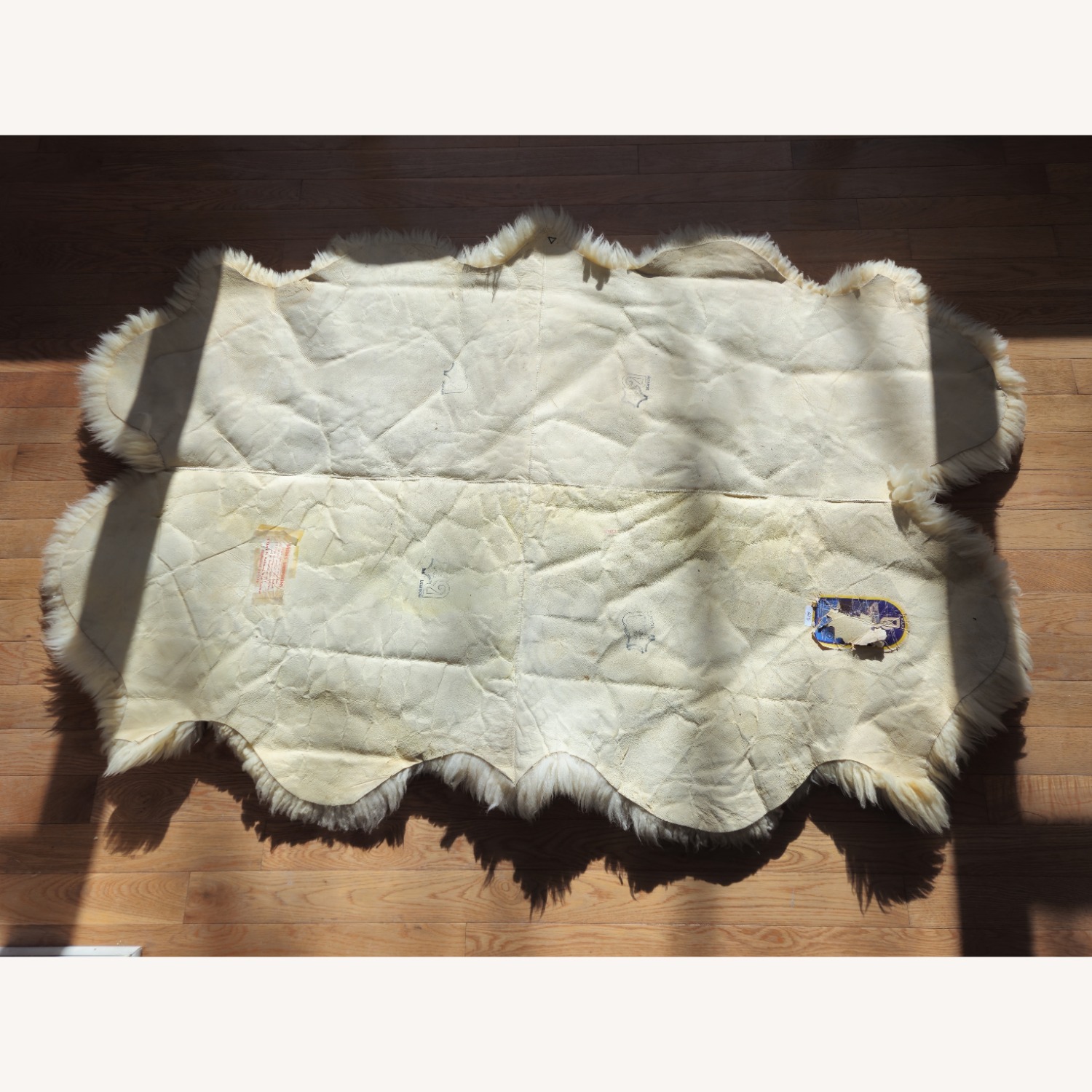 Bowron New Zealand Sheepskin Area Rug  4' x 6.5' - image-6