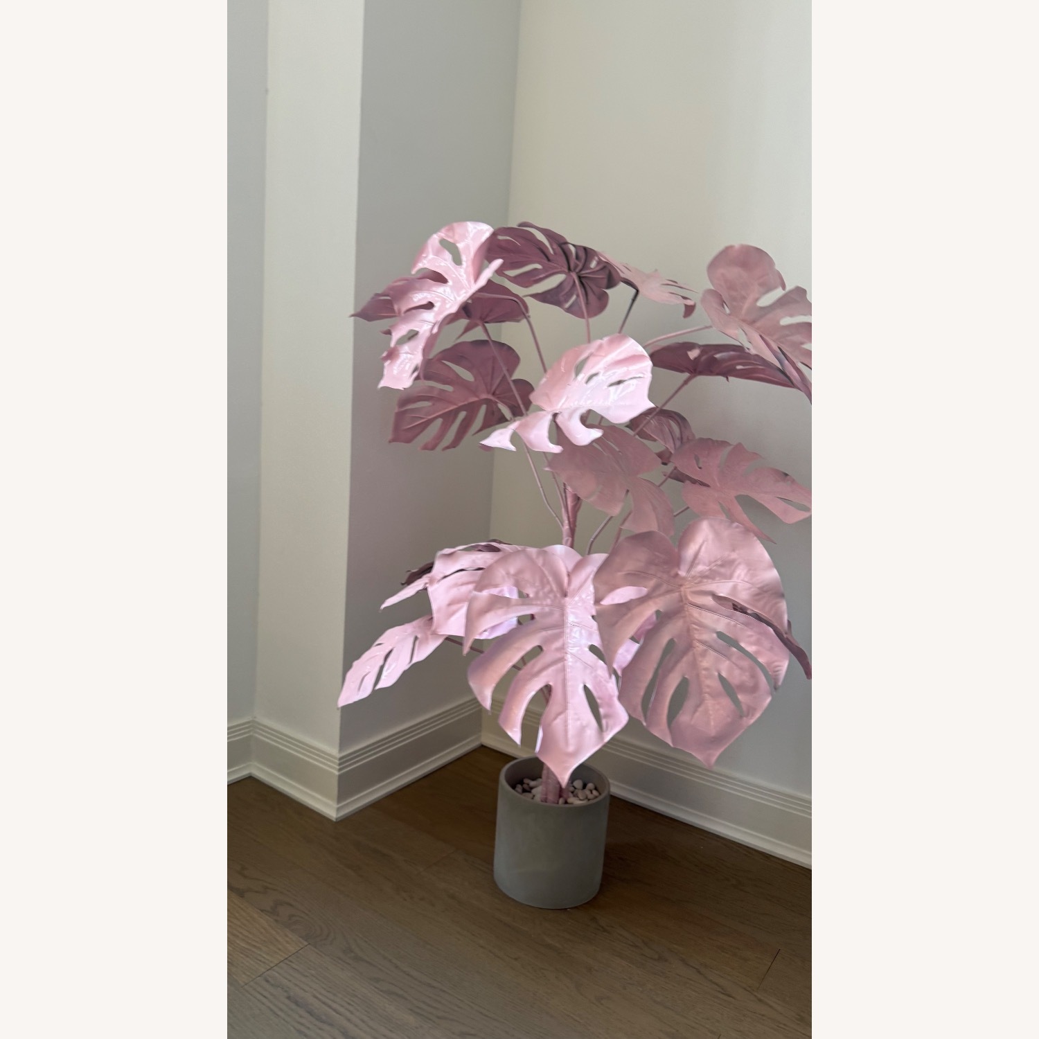 CB2 Monstera Decorative Pink Plant Art - image-2