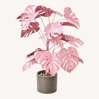 CB2 Monstera Decorative Pink Plant Art