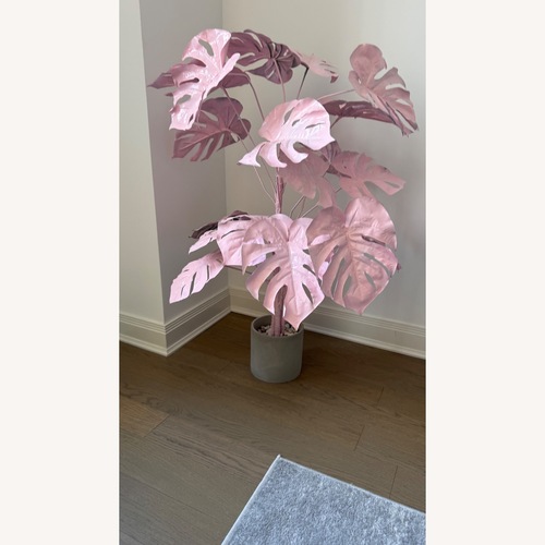 Used CB2 Monstera Decorative Pink Plant Art for sale on AptDeco