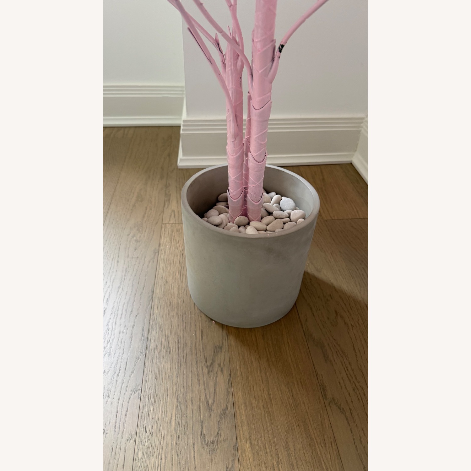 CB2 Monstera Decorative Pink Plant Art - image-3