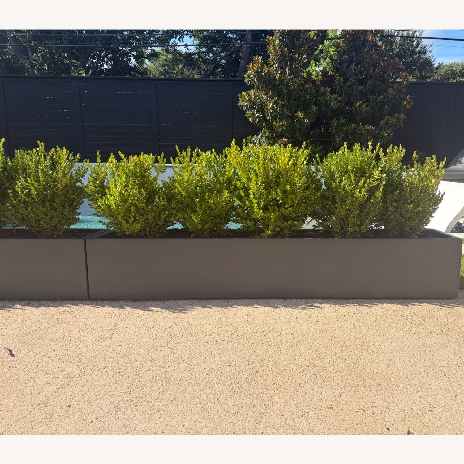 Black Fiberglass Low Profile Planter Box - image-1