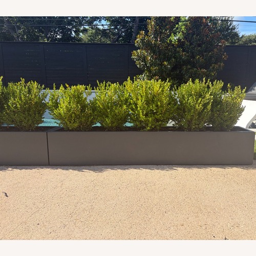 Used Black Fiberglass Low Profile Planter Box for sale on AptDeco