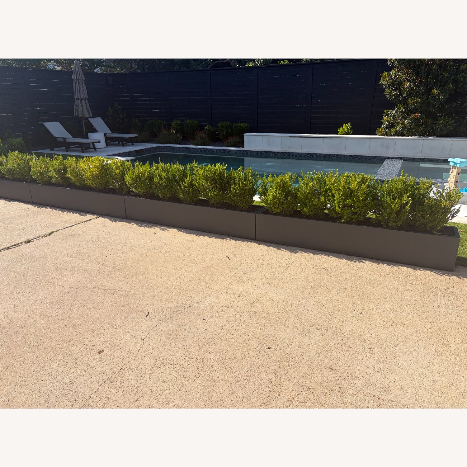 Black Fiberglass Low Profile Planter Box - image-3