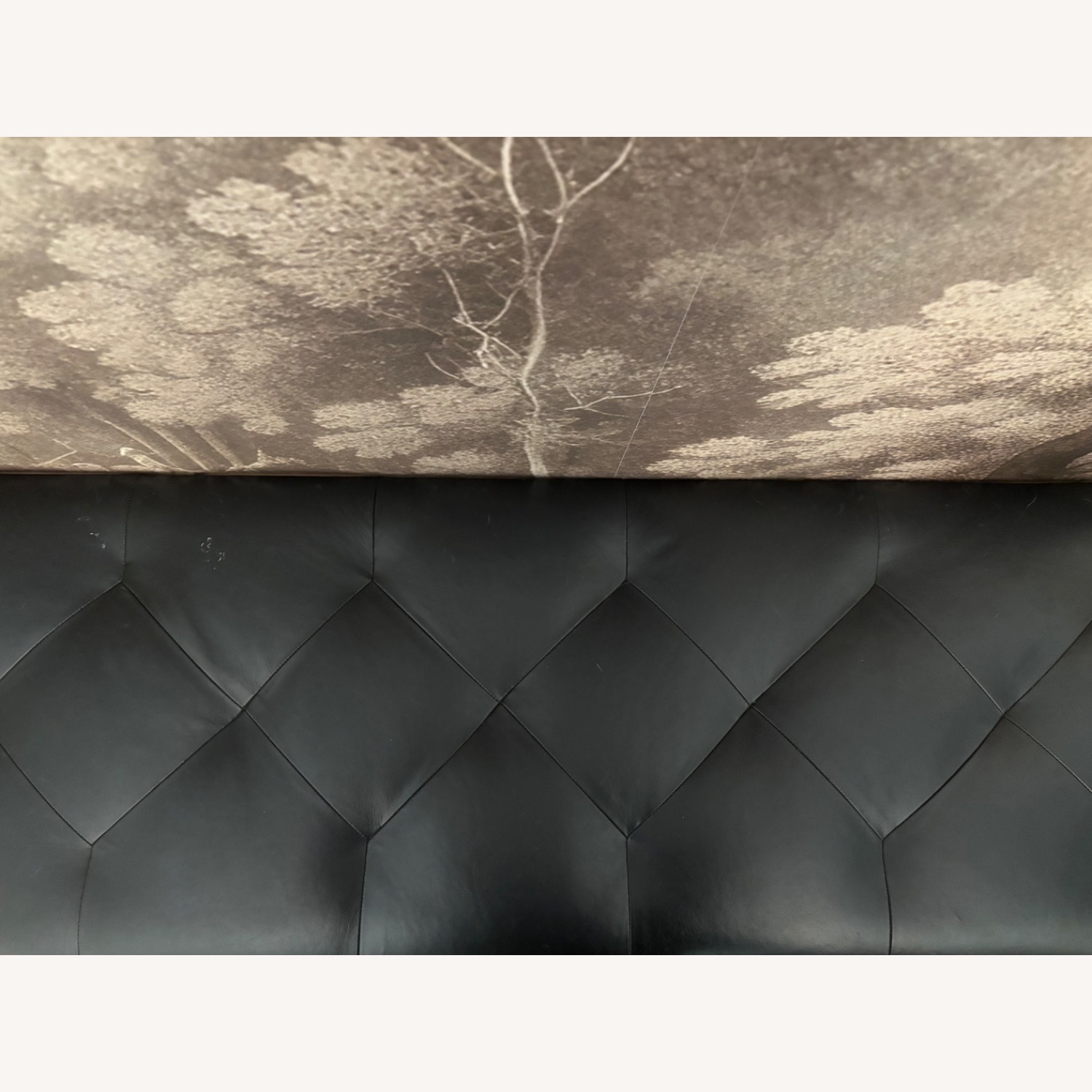 Article Level Bella Black 61" Bench - image-5