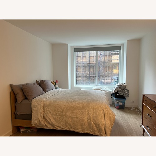 Used Nera Queen Low Profile Bed - Oak for sale on AptDeco