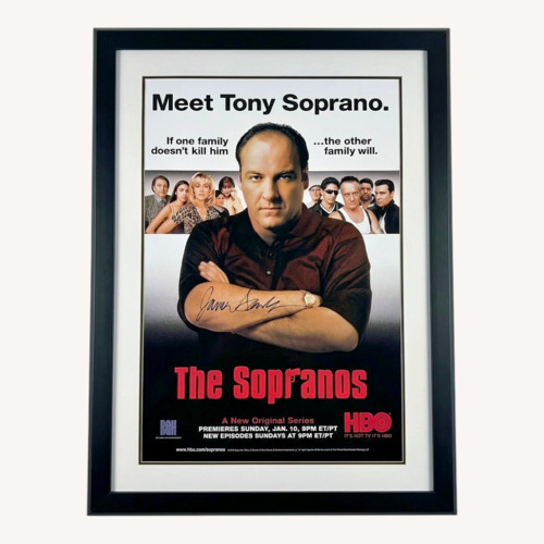 Used The Sopranos Framed Art SIGNED by James Galdofini for sale on AptDeco