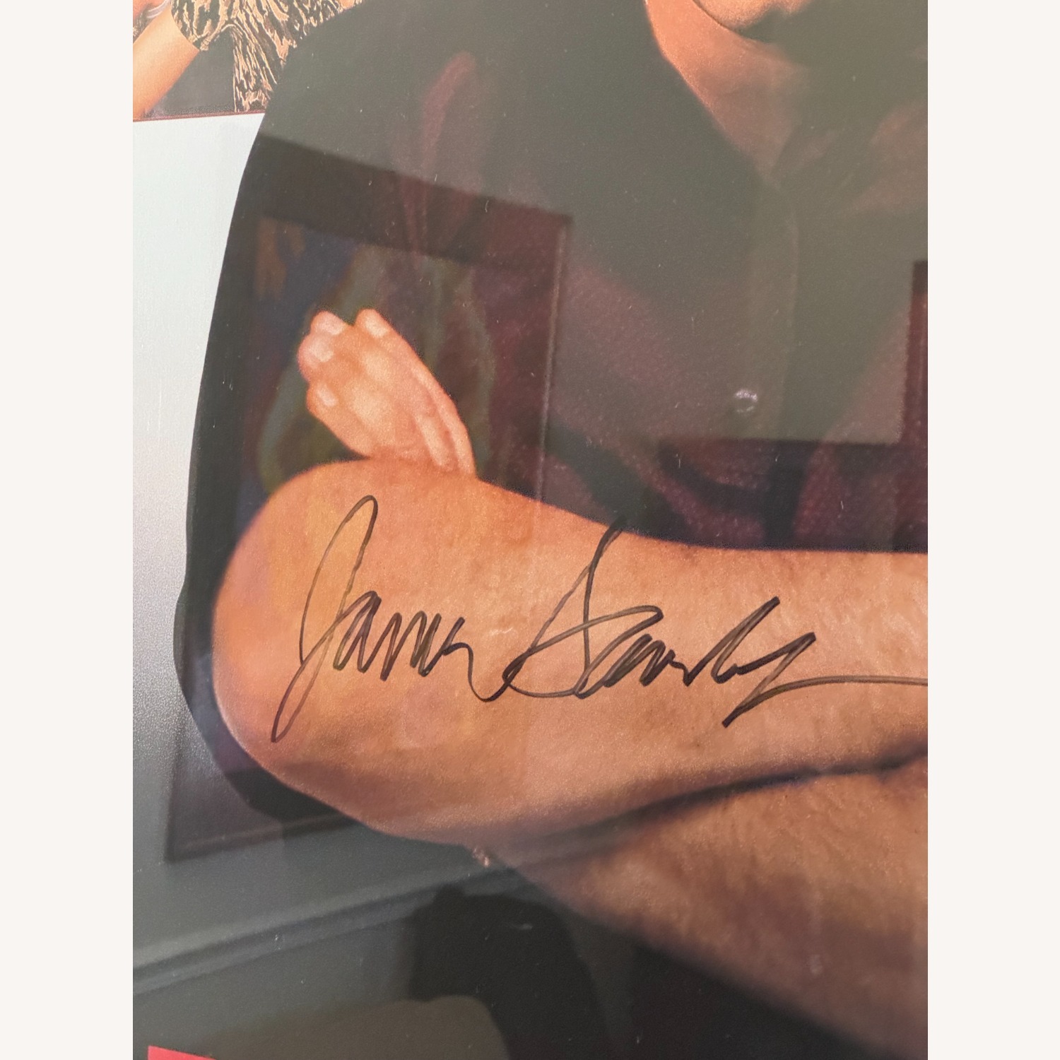 The Sopranos Framed Art SIGNED by James Galdofini - image-2