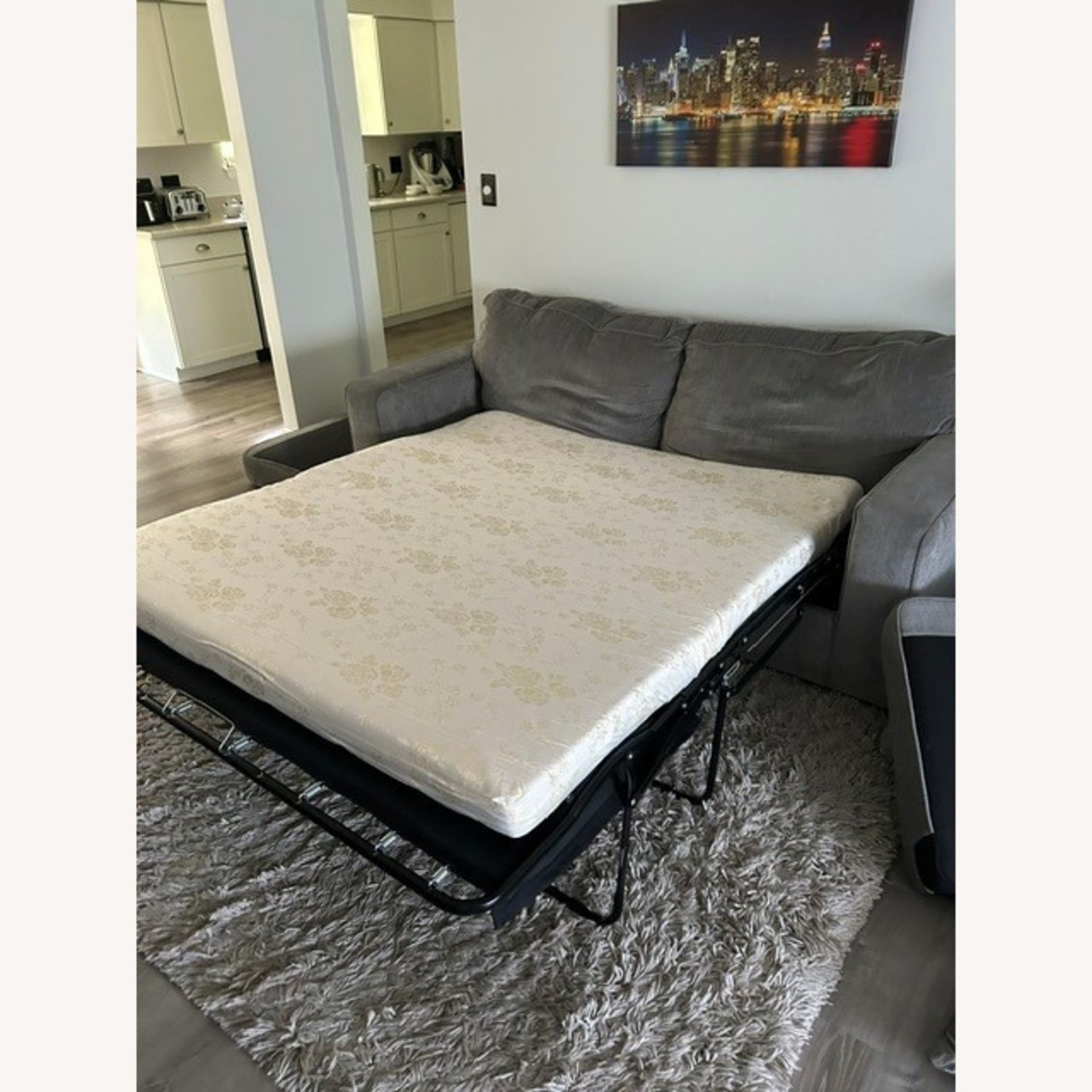 Vintage/Antique Light Gray Sleeper Sofa - image-4
