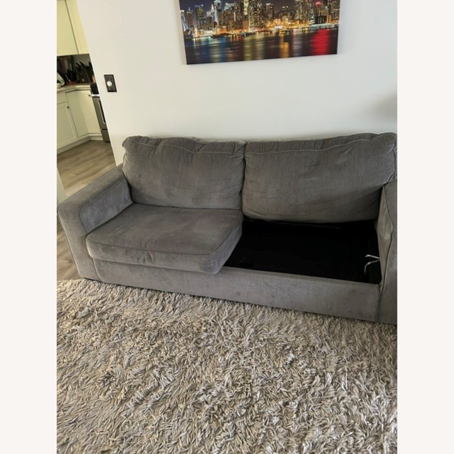 Vintage/Antique Light Gray Sleeper Sofa - image-5