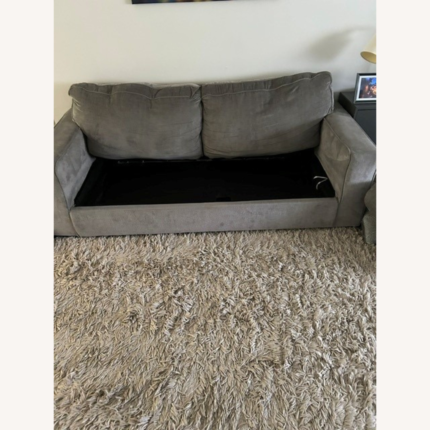 Vintage/Antique Light Gray Sleeper Sofa - image-6