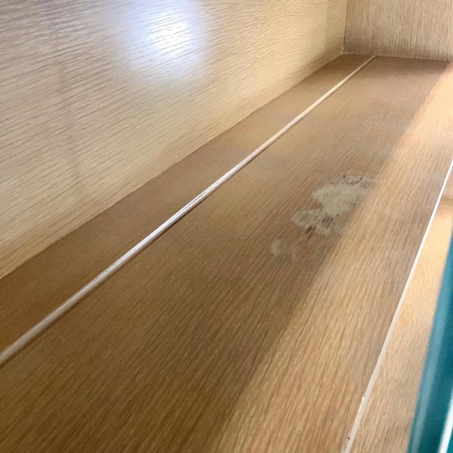 Blonde Oak Mid-Century Display/Storage Shelves - image-8