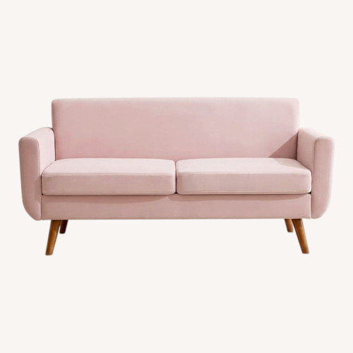 Used Blush 66" Loveseat for sale on AptDeco
