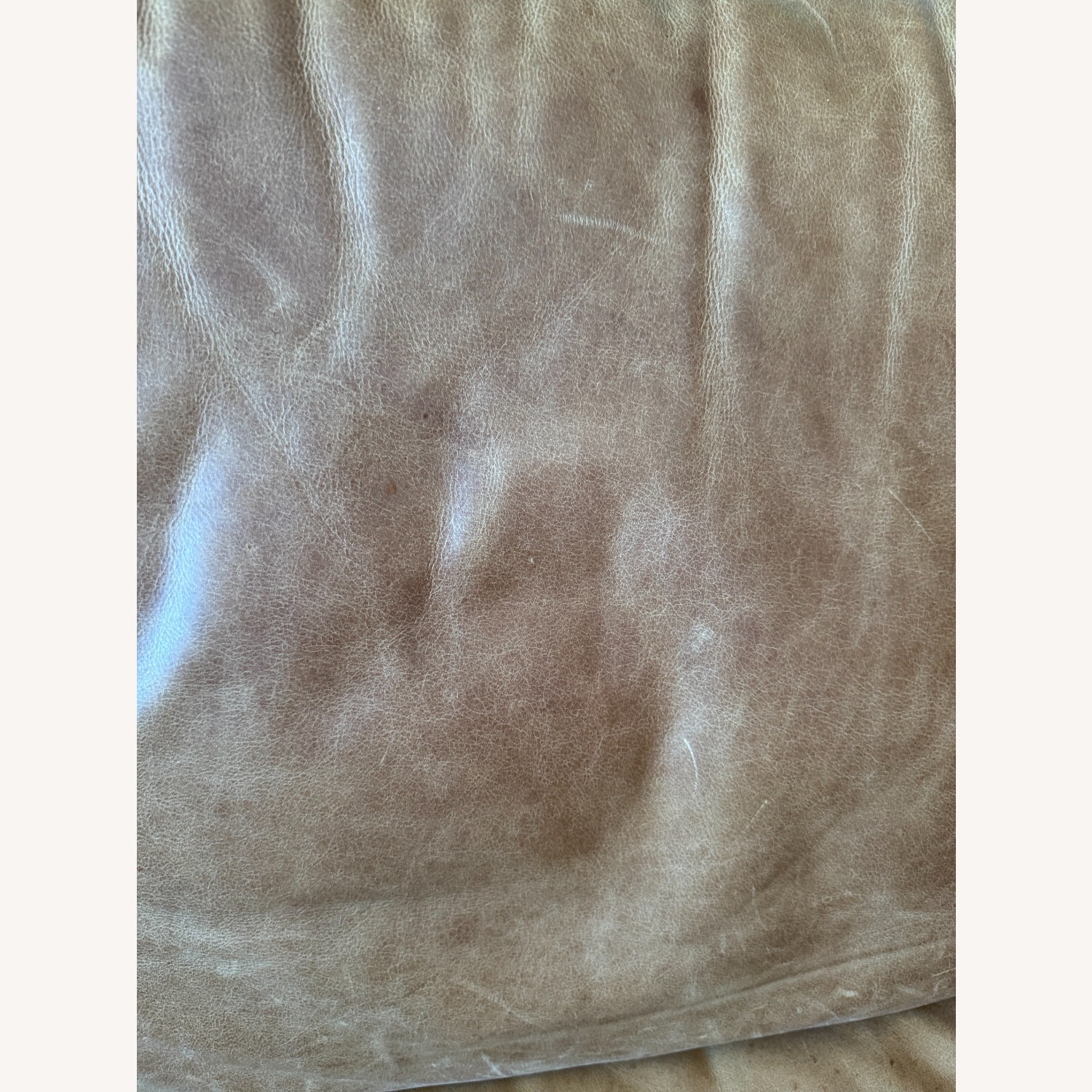 Poly and Bark Leather 3+ Seater Sofa - image-5