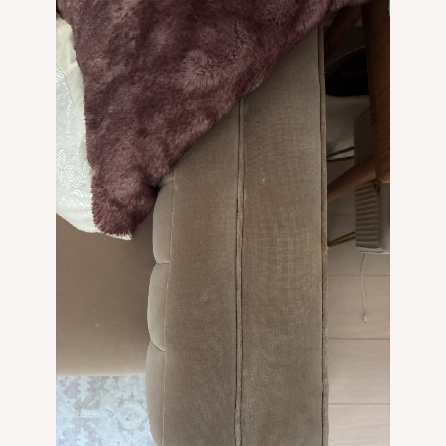 CB2 Ambroise 80" Light Taupe Velvet Sofa - image-5