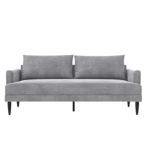 Used Wayfair Light Gray Velvet 2 Seater Sofa for sale on AptDeco