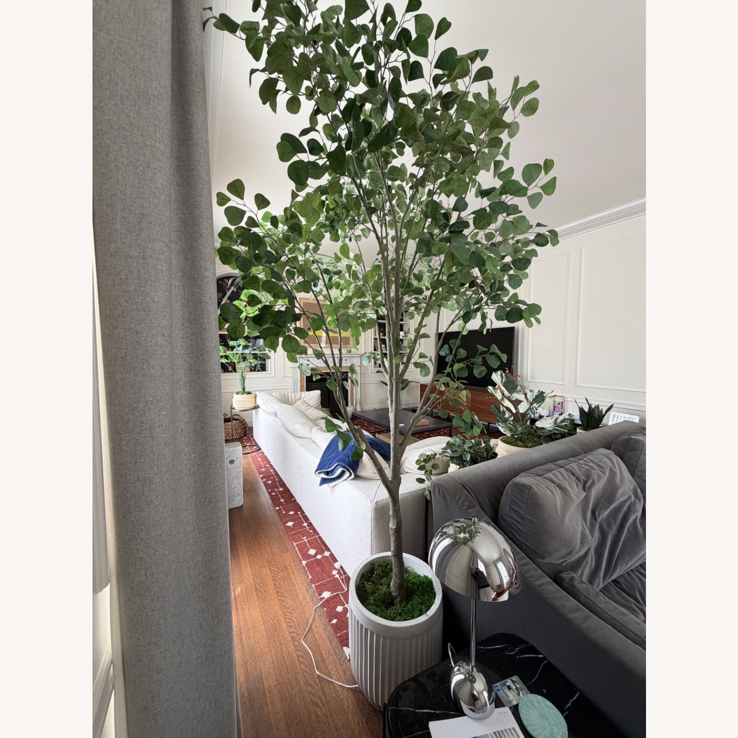 Pottery Barn Faux Shady Lady Olive Tree - image-3