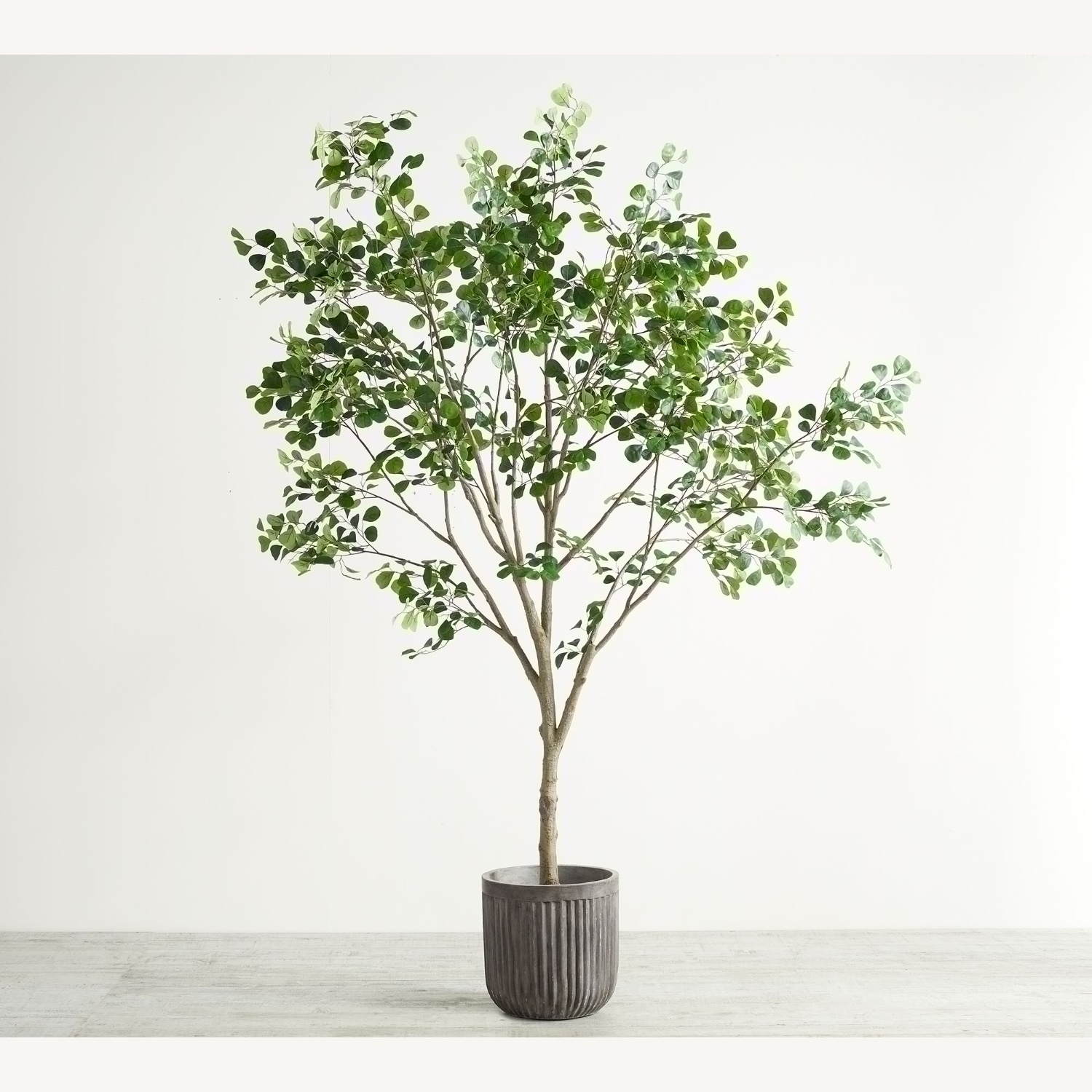 Pottery Barn Faux Shady Lady Olive Tree - image-4