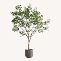 Pottery Barn Faux Shady Lady Olive Tree